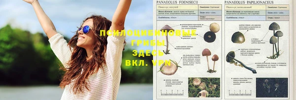 круглые Заволжье