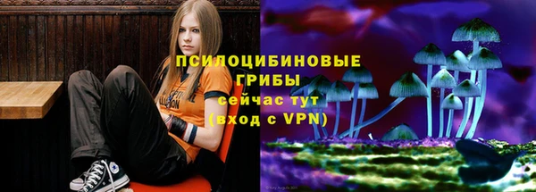 MDMA Заволжск