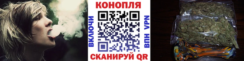Конопля OG Kush  Купить где  Галич 